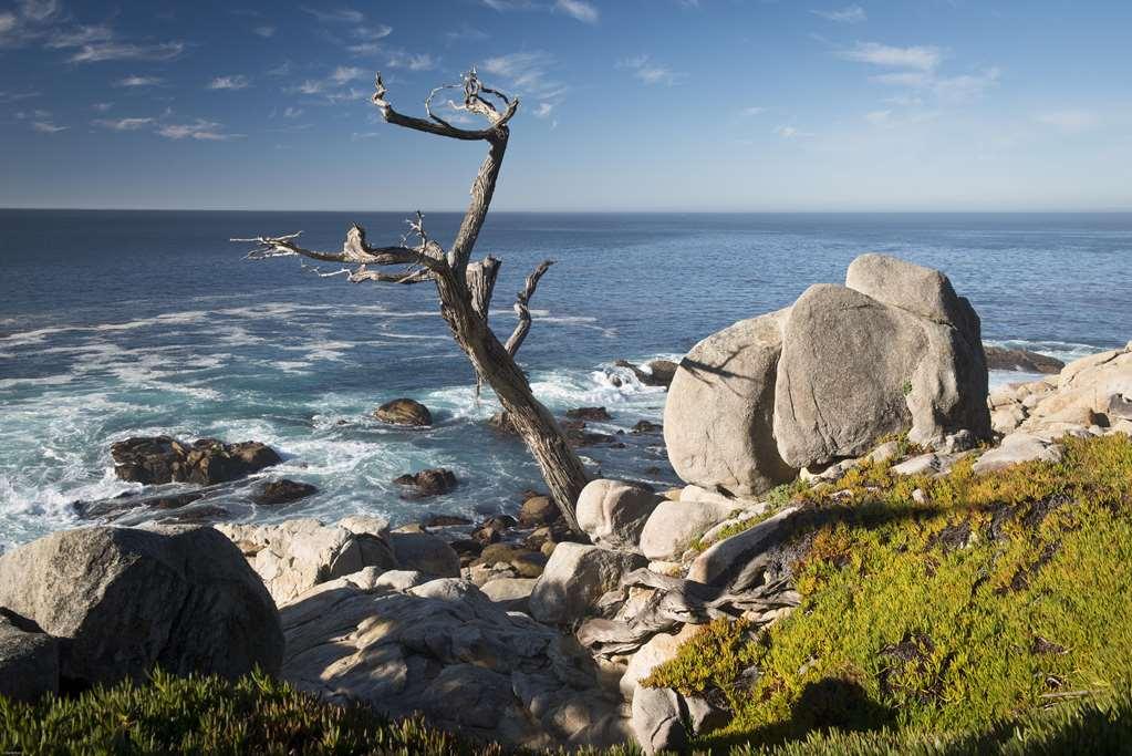 Inn At Spanish Bay Pebble Beach Eksteriør billede